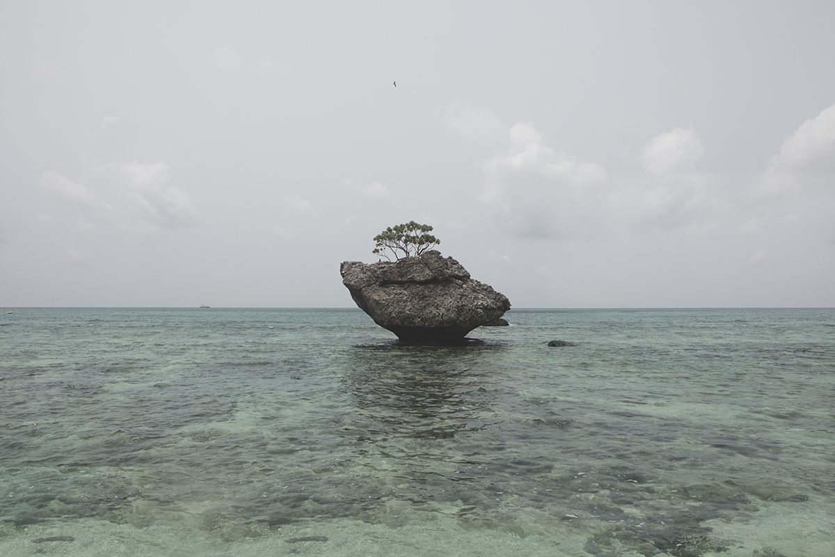 Coral Reef Exposed at Low Tide, from the series, Christmas Island, Naturally